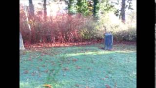 Gorsedd Stone Circle Dolerw Park Newtown [upl. by Erl996]