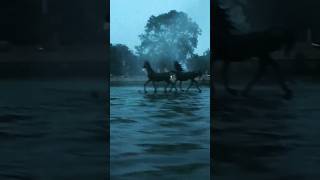 horse statue on lake  kst kota  rajasthan eveningview [upl. by Lorenz]