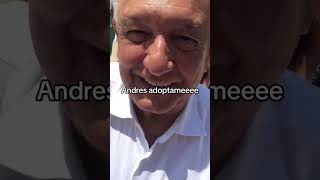 No quiso adoptarme😂presidentedemexico amlovers metztitlanhgo desmadre fyp amlo México [upl. by Lindholm]