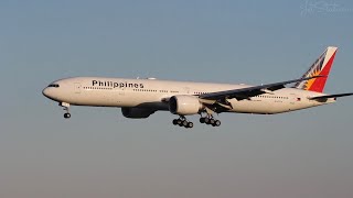 Toronto Canada 🇨🇦 Pearson International CYYZ Evening arrivals July 1624 youtubevideo [upl. by Barbee]