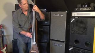 Framus Electric Upright Bass  Andy Irvine [upl. by Nessnaj]