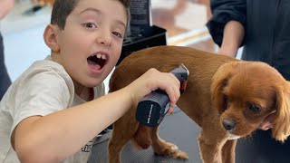 Dog Grooming for Kids  Pet Grooming for Kids  Learn how your dog is groomed at the Salon [upl. by Dominick]