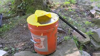 Bucket mouse trap in chicken coop [upl. by Ekenna]