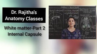 Anatomy of Internal Capsule by Dr Rajitha Vanga [upl. by Adnilec]