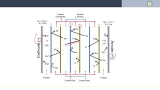 Separation Processes  69  Electrodialysis Membranes [upl. by Olwena]