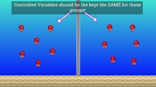 Variables in Science Independent Dependent and Controlled [upl. by Aiak]