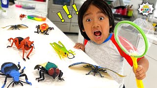 Ryans Bug Catching Pretend Play and Learn Insect Facts for kids [upl. by Ettenim]