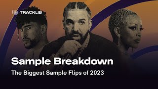 The Biggest Sample Flips of 2023  Tracklib Sampling Awards [upl. by Yael]