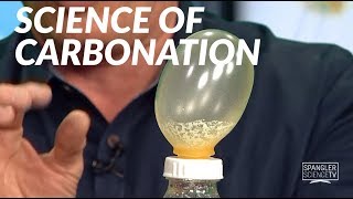 Science of Carbonation [upl. by Peg]