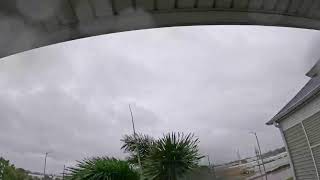 HURRICANE MILTON LIVE FROM LARGO FLORIDA [upl. by Theurer854]