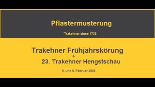 Trakehner Frühjahrskörung 2022  Pflastermusterung [upl. by Ahsilahk401]