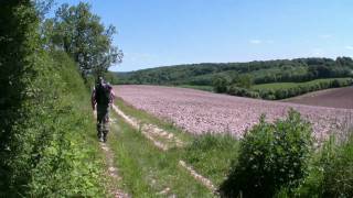 Stokenchurch  Bledlow Ridge  The Ridgeway  Chinnor  WalkID 49 [upl. by Trepur]