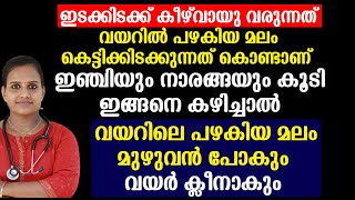 ഇഞ്ചിയും നാരങ്ങയും കൂടി ഇങ്ങനെ കഴിച്ചാൽ വയറിലെ പഴകിയ മലം മുഴുവൻ പോകും വയർ ക്ലീനാകും  Healthy Tips [upl. by Finzer]