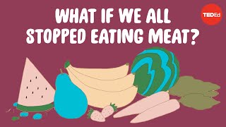 What would happen if everyone stopped eating meat tomorrow  Carolyn Beans [upl. by Maribelle]