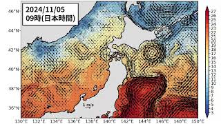 2024年11月18日までの親潮「短期」予測 番外 含む日本海北部 [upl. by Cruce]