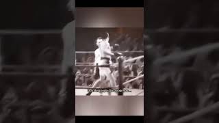 Танцующий роза video boxing new [upl. by Aitahs986]