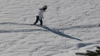 Plongée dans un Pays des Merveilles d’Hiver ❄️ Découvre la Magie de la Neige [upl. by Carla]