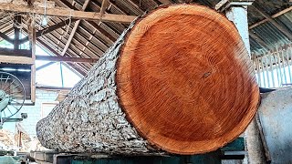 Amazing Sawmill Skills  300 Years Old Tree Mahogany In The Sawmill [upl. by Shandee]