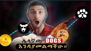 PAWS AIRDROP በ BLUM የሚደገፍ ቶሎ ጀምሩ 🔥 [upl. by Inigo]