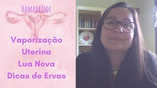 Vaporização Uterina para a Lua Nova  Dicas de ervas [upl. by Llekcir]