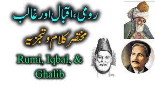 Rumi  Jalaluddin Rumi  Sufi Mysticism  Persian Poetry  Mirza Ghalib  Poetry [upl. by Nepean33]