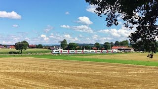 Bayerische Oberlandbahn und das Naturdenkmal quotSteindl Alleequot vor Holzkirchen in Oberbayern [upl. by Nilyarg]