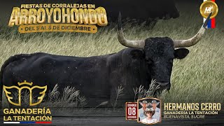 Arroyohondo Bolívar 2024 · Ganadería La Tentación · Hermanos Cerro [upl. by Mandal]