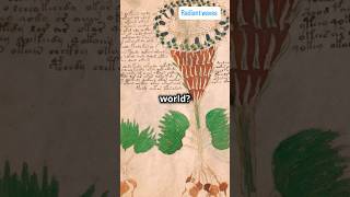 Voynich Manuscript 😮😮📖 facts mystry youtubeshorts trending history script voynichmanuscript [upl. by Noiramaj890]