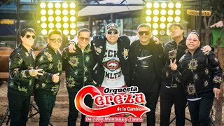 Video Fans del Tik Tok Penumbras de Amor  Grupo Cereza De la Cumbia En La Voz De Pieritho Montana [upl. by Eibber]