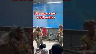 WATER WORLD UNIVERSAL STUDIO SENTOSA singapore sentosaislandsingapore shortvideo [upl. by Naivat]