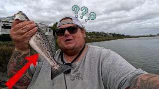 slaying inshore speckled trout in south carolina Jadeeladie [upl. by Ruosnam538]