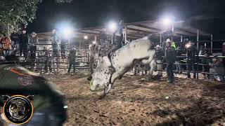 ‘Jaime Carrizales’  Zamarron Bucking Bulls 🐂 [upl. by Aniar506]