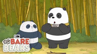 Origin Stories  We Bare Bears  Cartoon Network [upl. by Olive838]