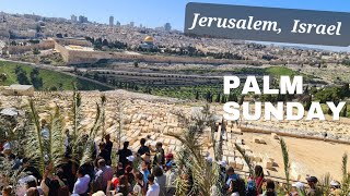 Palm Sunday Live Procession 2023  Walking from BETHPHAGE TO JERUSALEM [upl. by Alahsal421]