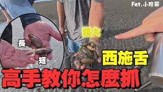 海灘裡的極致美味！使用新的趕海神器來體驗！不能釣魚就來抓這個回家加菜！好甜喔！！ enson011111 [upl. by Jair182]