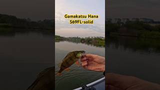 Окунь на Gamakatsu Hana S69FLsolid gamakatsu fishing микроджиг Gamakatsu Hana S69FLsolid [upl. by Ayhdiv652]