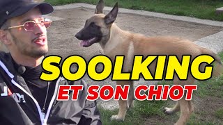 SOOLKING ET SON CHIOT MALINOIS PRINCE DROGO [upl. by Borlase]