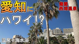 【愛知高級温泉宿】蒲郡”西浦温泉”に宿泊！全面オーシャンビュー展望客室に圧巻！｜Hot Spring Ryokan quotNishiuraOnsenquot Gamagori Aichi Japan [upl. by Nesyt297]