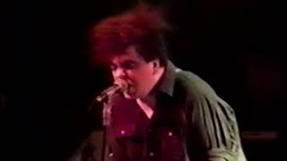 Melvins  Live  Kennel Club San Francisco CA 11891 [upl. by Granoff]