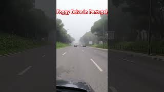 Foggy Day Drive Portugal International Travel travel travelabroad lisbon lisboa travelvlog [upl. by Verina]