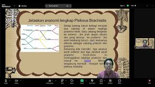 Anatomi Pleksus Brachialis [upl. by Mode]