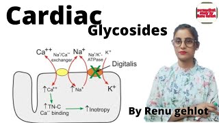 Cardiac Glycosides  cardiac Glycosides in hindi  congestion heart failure [upl. by Oinotnaocram]