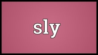 Sly Meaning [upl. by Cam]