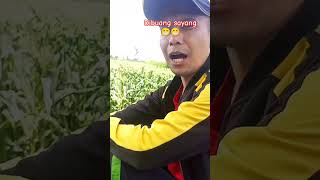 Dibuang sayang  bobodoransunda  MangAno Jeung Kaka video comedy bobodoranbahasasunda [upl. by Cedell403]