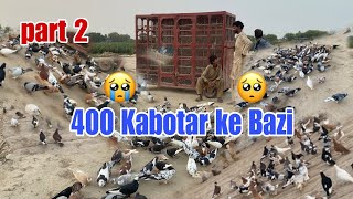 kabutaron ke Bazi 🥺  Zordar Muqabla  400 Kabotar ke Bazi 😭 kabuterbazi pigeon pigeonlover 40 [upl. by Nairehs]