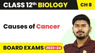 Causes of Cancer  Human Health and Disease  Class 12 Biology 202223 [upl. by Yanehs473]