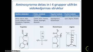 Kortfilm  Aminosyrornas uppbyggnad och indelning [upl. by Adnolehs406]