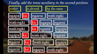 Warlpiri Grammar PART 2 [upl. by Aicilana]