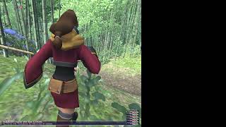 FFXI Rhapsodies of Vanadiel Mission 321 [upl. by Sido423]