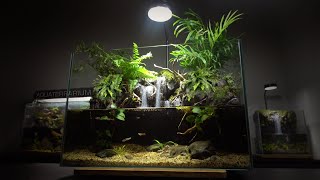 Setup Guppy Fish Aquaterrarium l Use Plastic Kettle to make aquarium l movable plants [upl. by Sikleb]